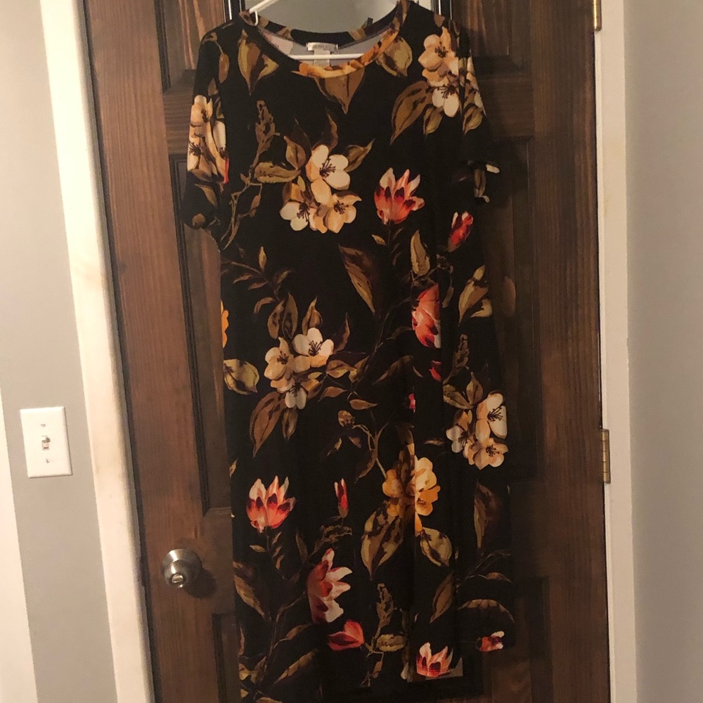 Very Soft Honey & Lace Dress 2X